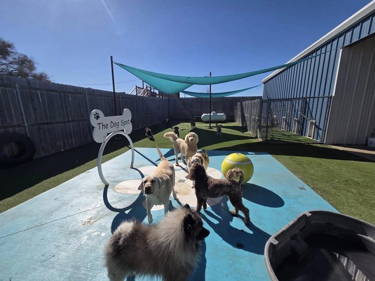 Salado Pet Resort — exterior